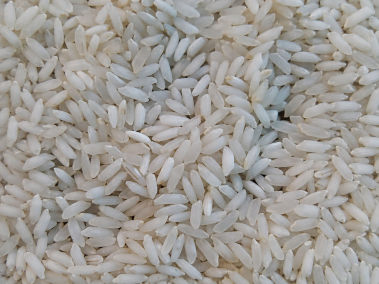 Sona Masoori Rice exported by Aurenta International Pvt. Ltd.